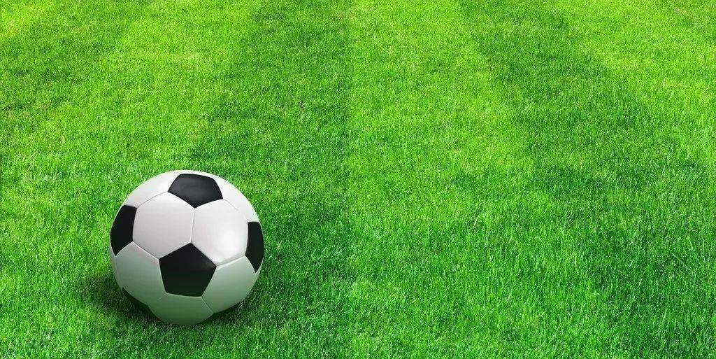 媒体从业者快速获取资讯