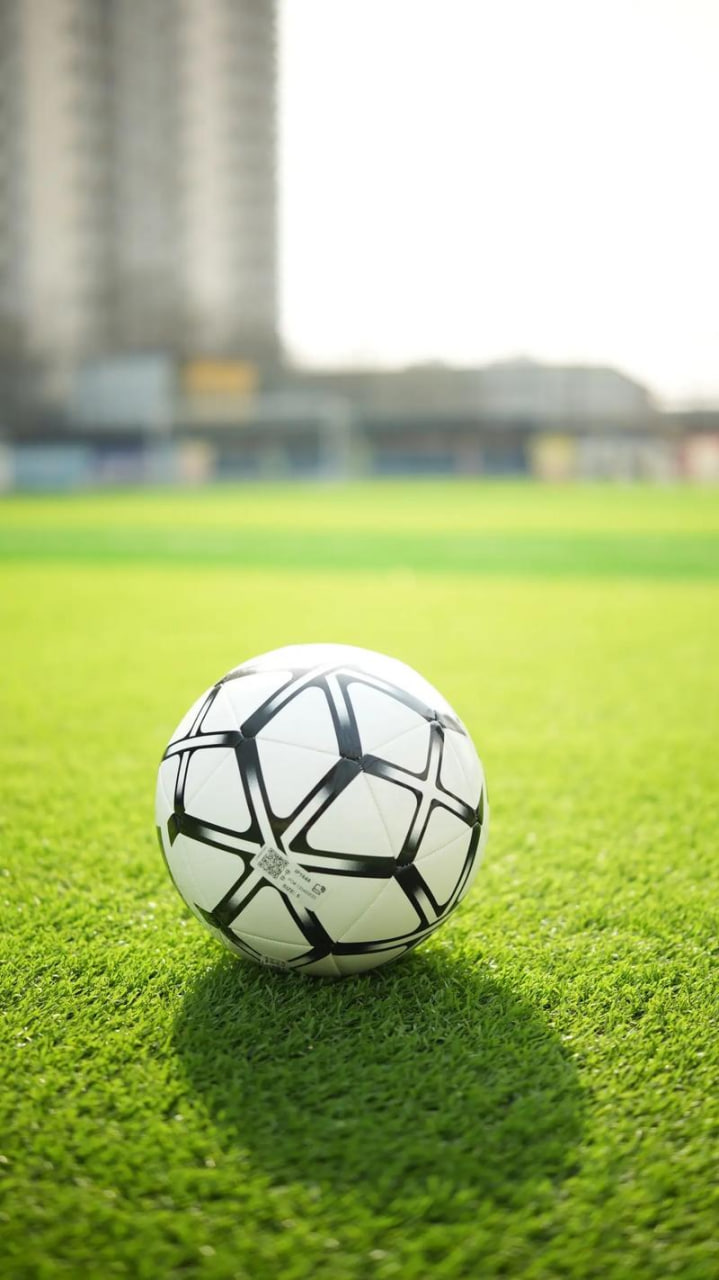 教练团队战术分析